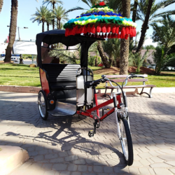 Bike marrakech riad dar taliwint marrakech
