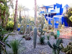 Jardin Majorelle riad dar taliwint marrakech