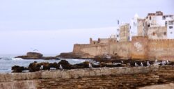 Essaouira medina riad dar taliwint marrakech