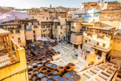 tannery in Fes medina riad dar taliwint marrakech