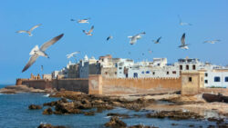 Essaouira excursion dar taliwint marrakech