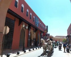 Medina marrakech riaddartaliwint (2)