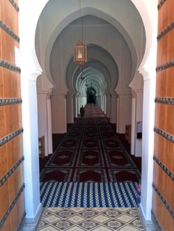 Koutoubia marrakech F5 riaddartaliwint