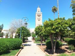 Koutoubia marrakech F6 riaddartaliwint