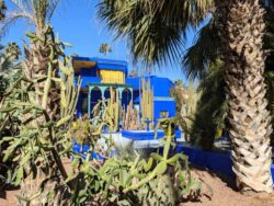 Majorelle garden Marrakech riad dar taliwint