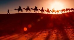 Orient caravane Dar Taliwint Marrakech
